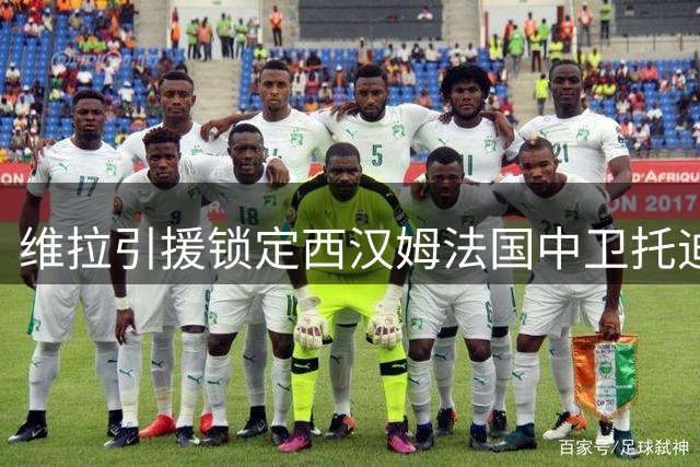 维拉引援锁定西汉姆法国中卫托迪博